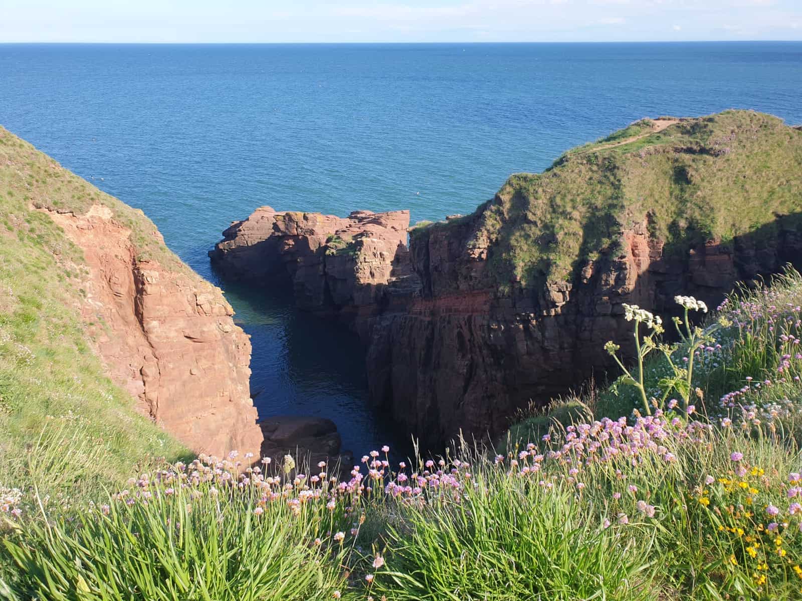 A photo from Arbroath Cliffs, Scotland