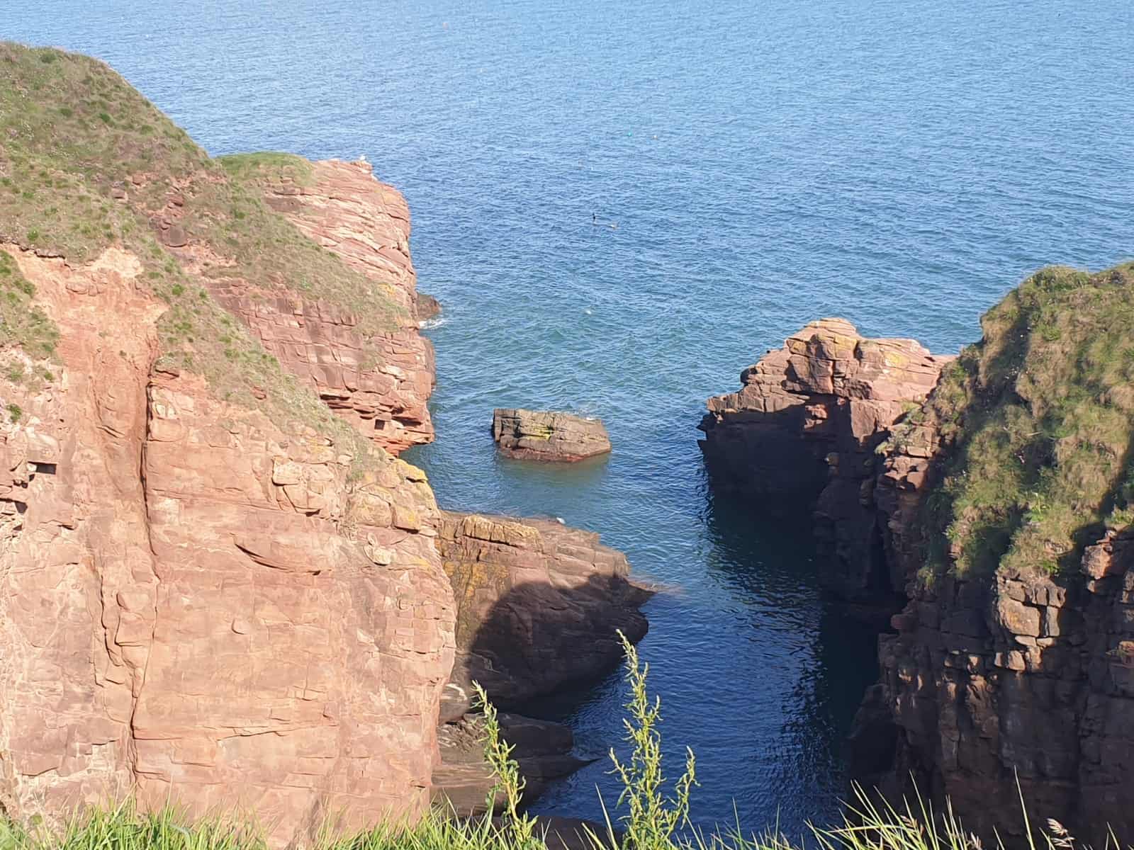 A photo from Arbroath Cliffs, Scotland