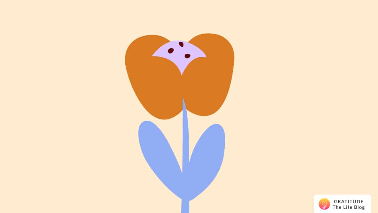 Illustration of an orange and blue flower