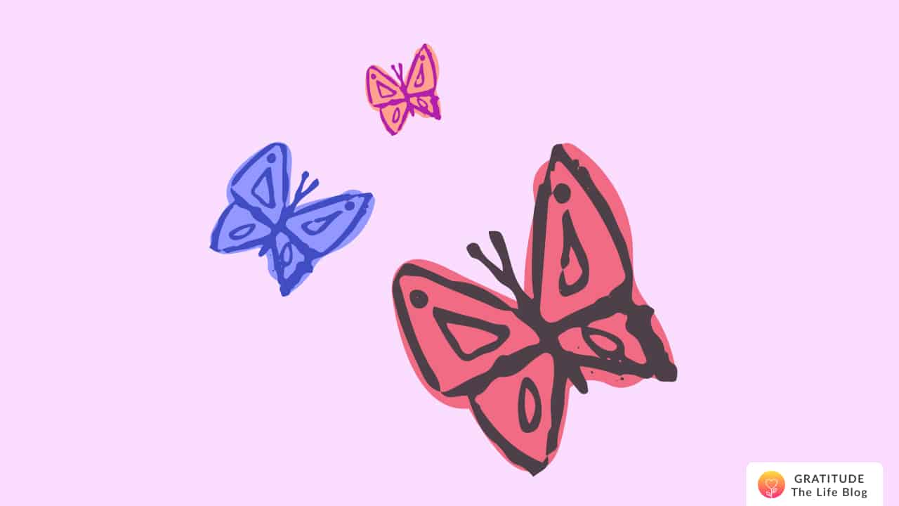 Illustration with three colourful butterflies