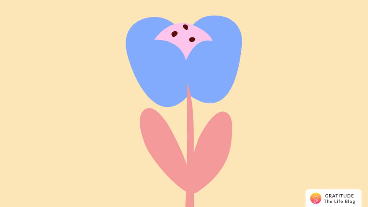 Illustration of a blue and pink flower