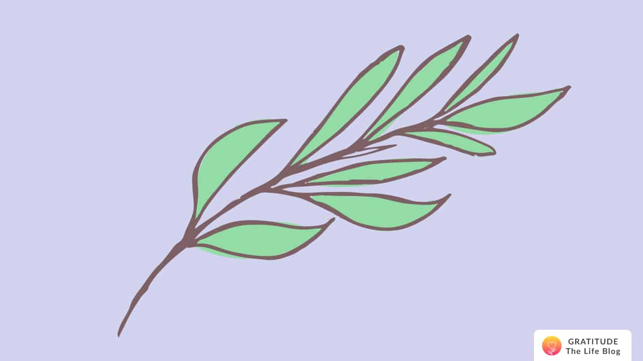 Light green leaves on a brown branch