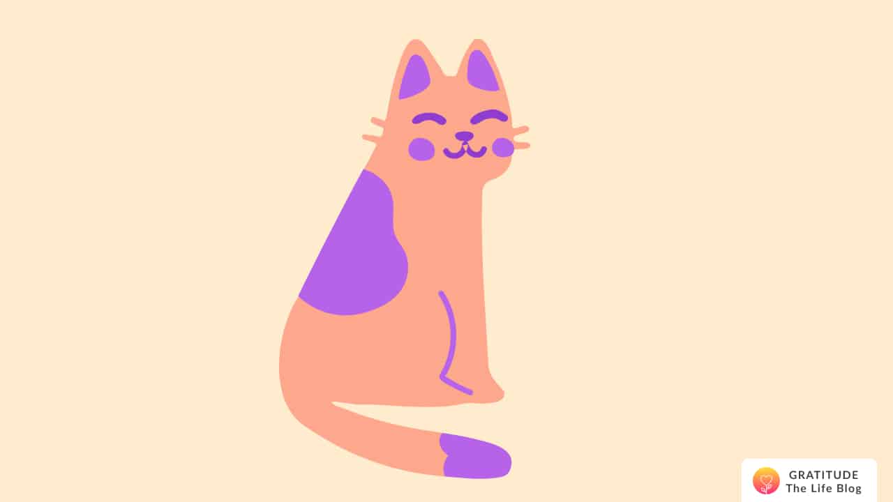 Illustration of an orange and purple smiling cat