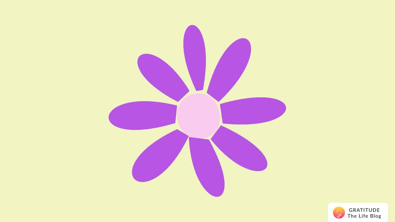 Illustration with a purple daisy