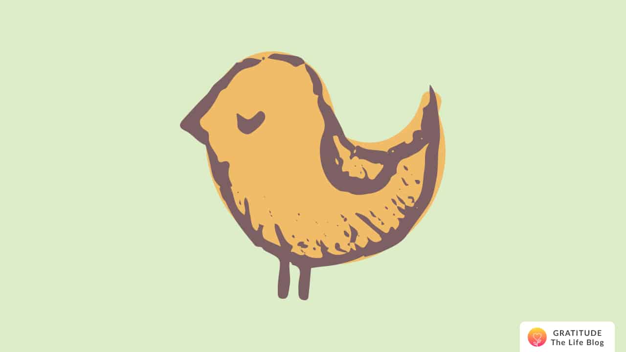 An illustration of a bird