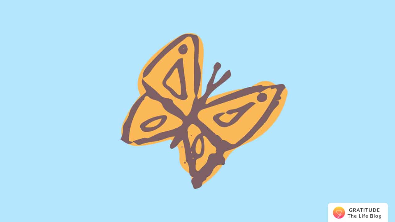 Illustration of a beautiful butterfly