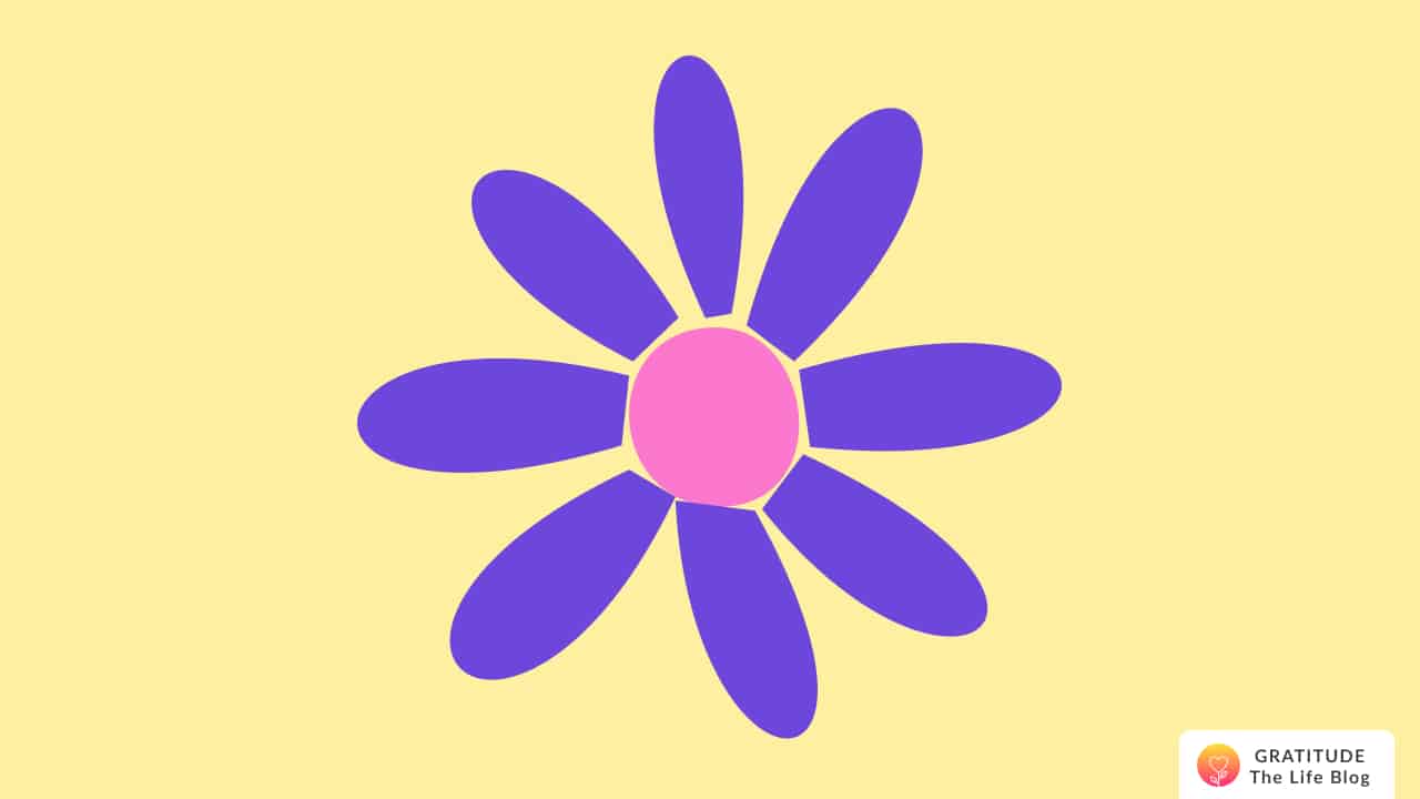 Illustration of a dark purple and pink daisy