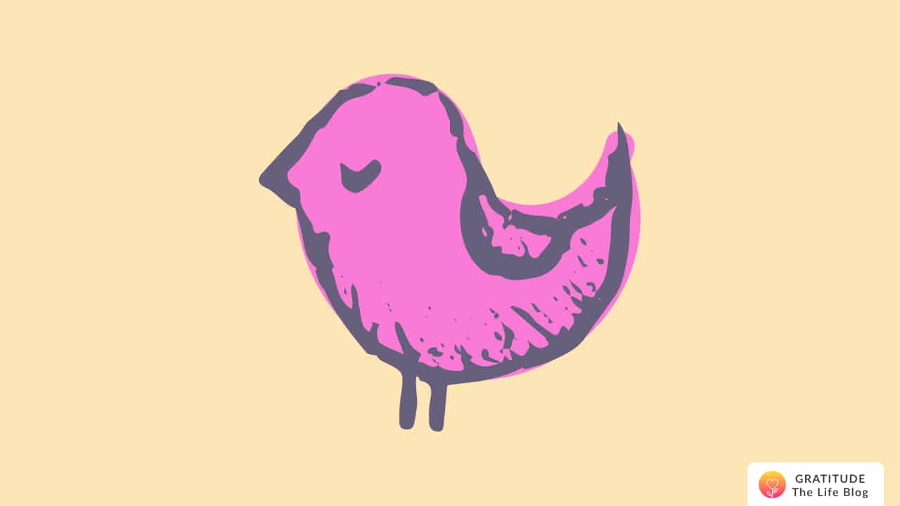 Illustration of a small pink bird with eyes closed