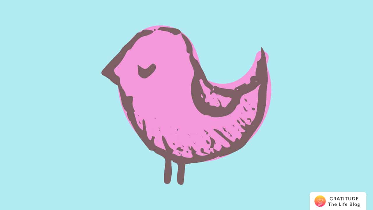Illustration of a small, pink bird