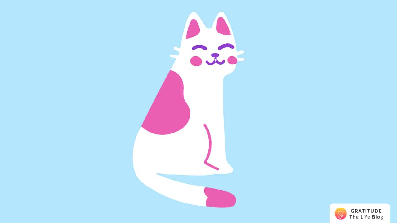 Illustration and pink and white smiling cat