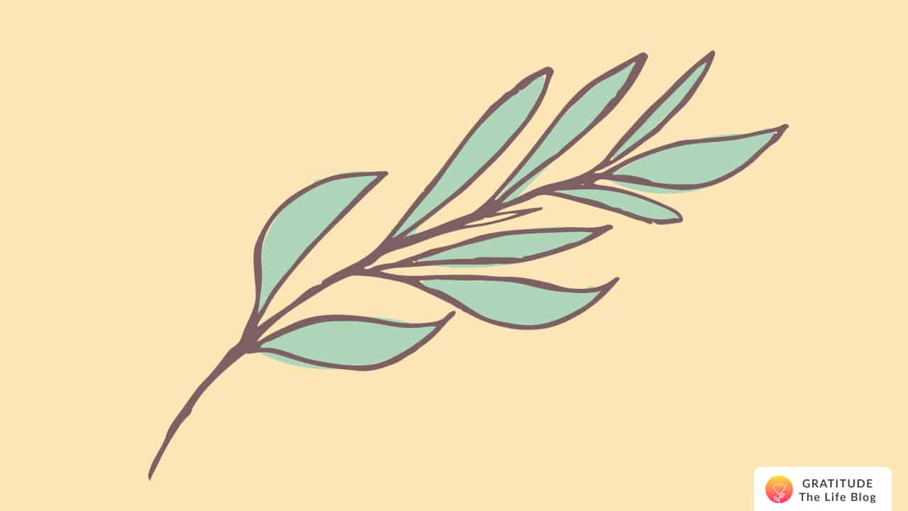 An illustration of a branch of leaves