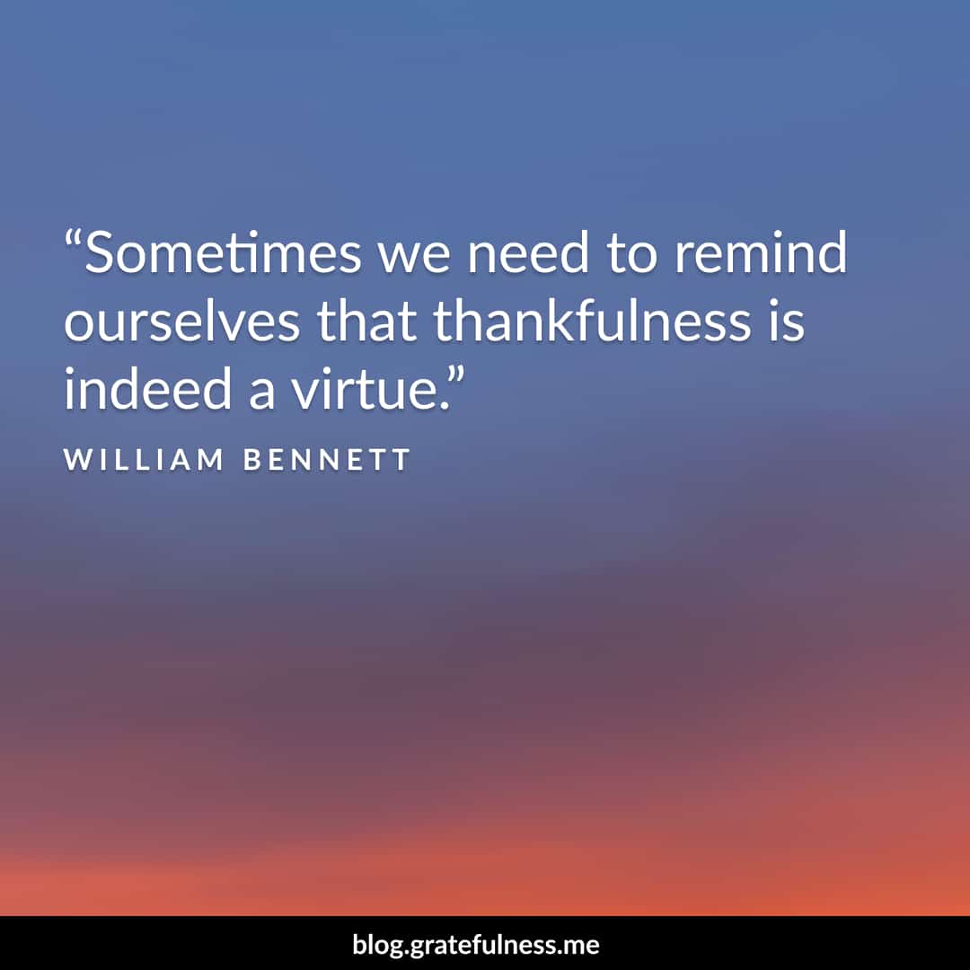 90 Best Gratitude Quotes To Inspire Thankfulness