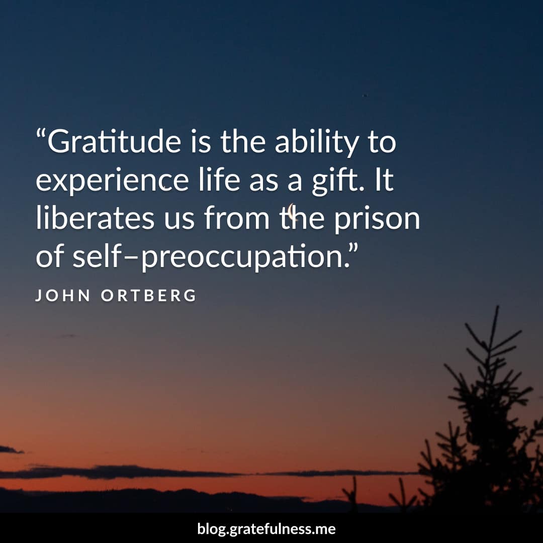 16 Gratitude Quotes to be Grateful - In the blink of an eye, it