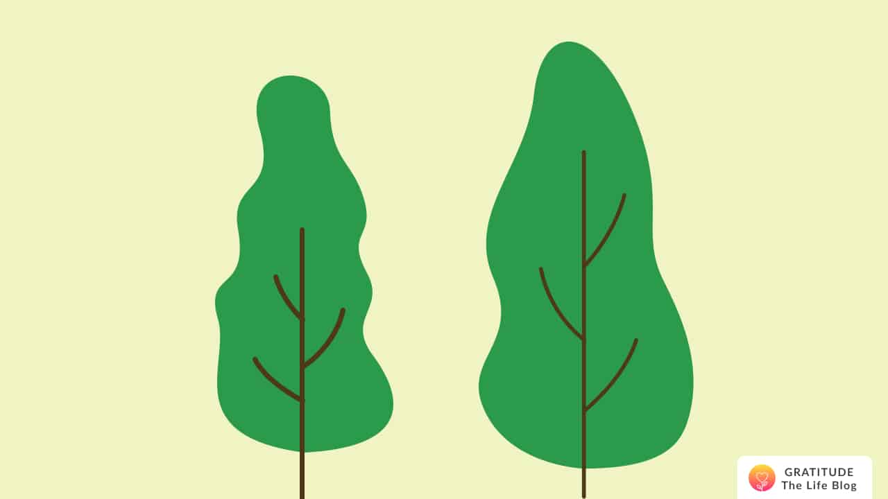 Illustration of two tall trees