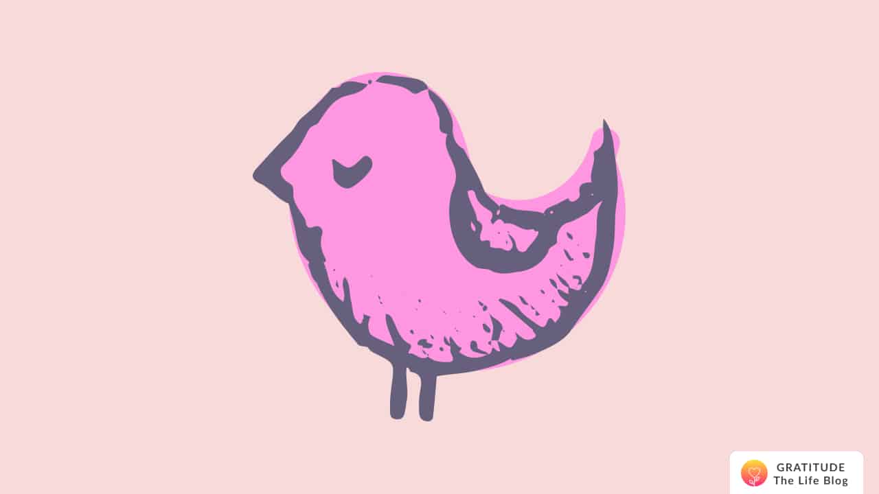 Illustration of a pink bird