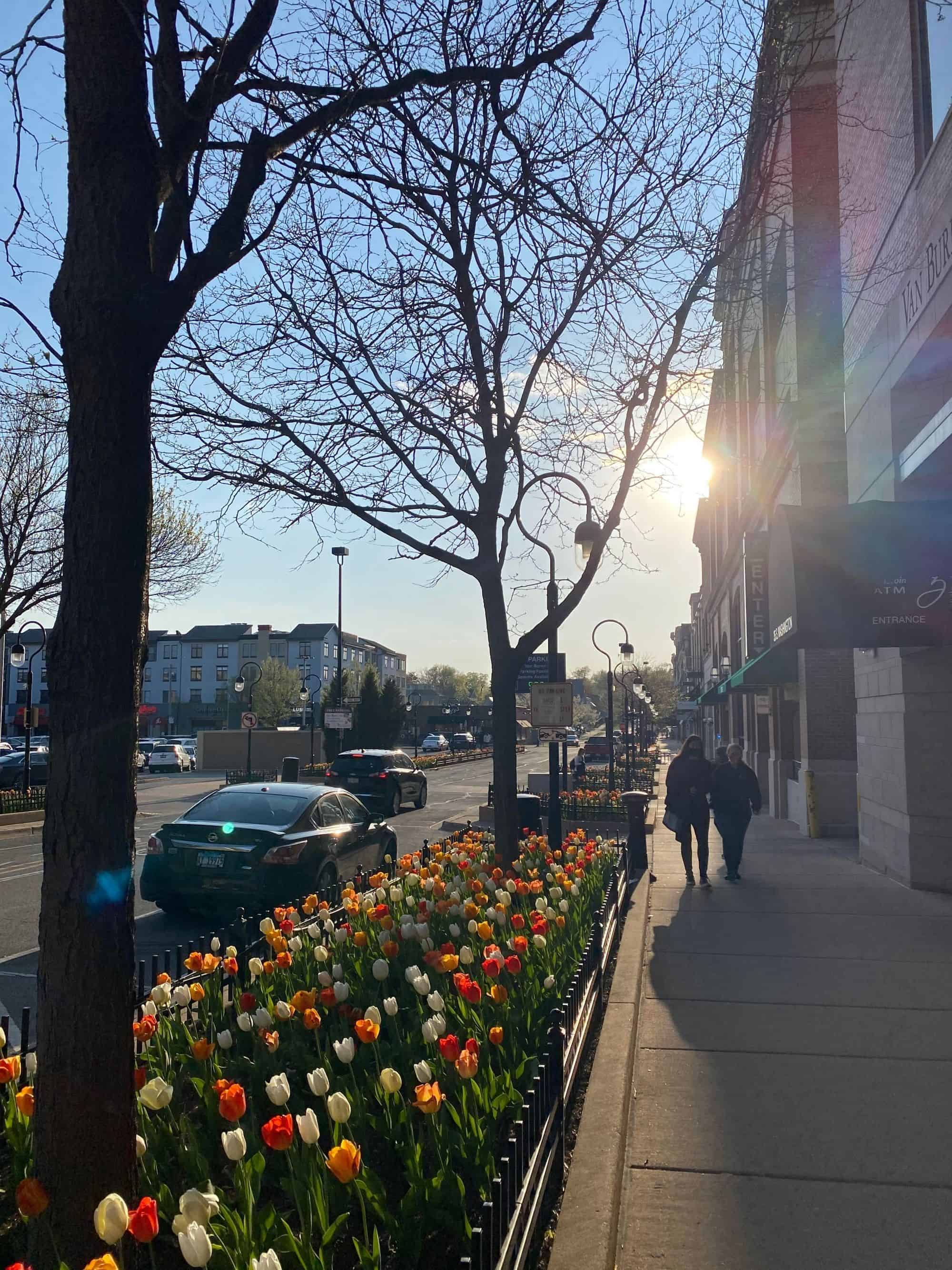 Image of a street