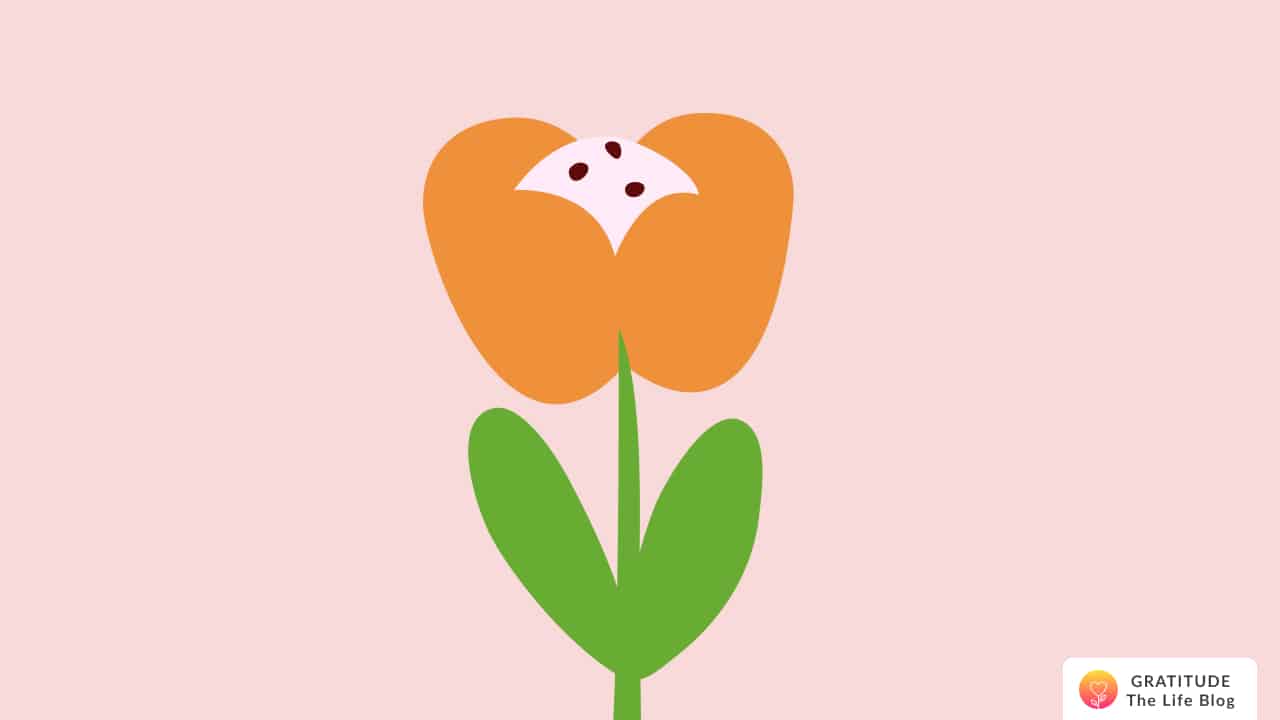 Image with illustration of an orange flower