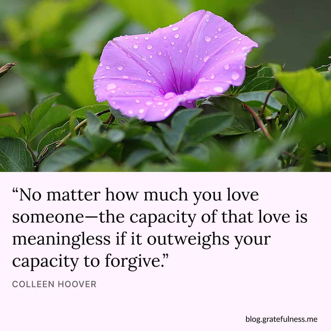 Image with forgiveness quote by Colleen Hoover