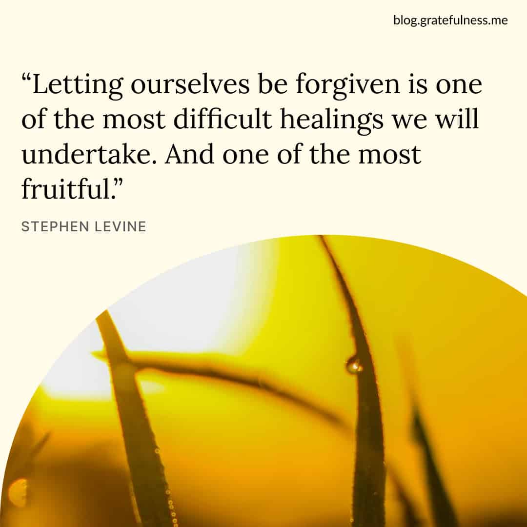 Image with forgiveness quote by Stephen Levine