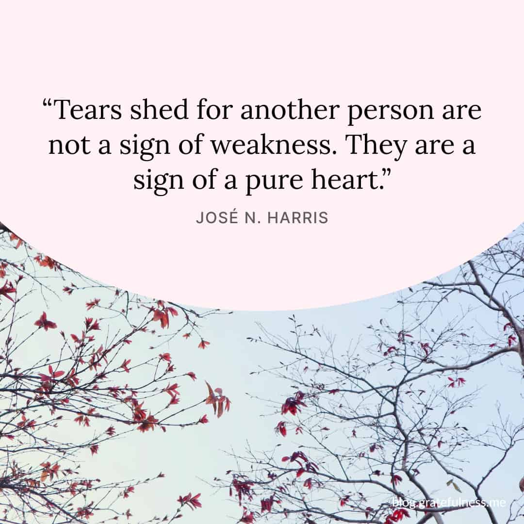 Image with grief quote by José N. Harris