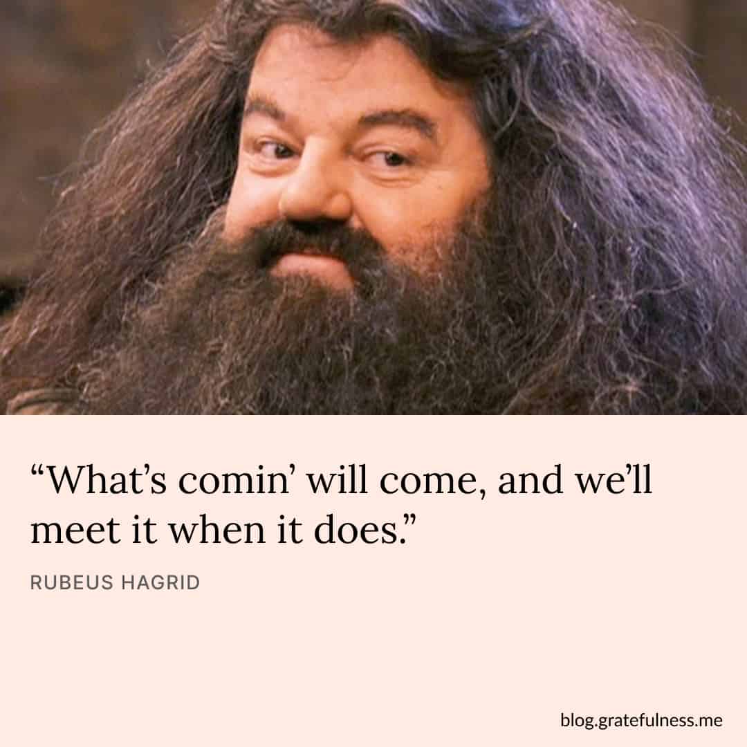 Image with Harry Potter quote by Rubeus Hagrid
