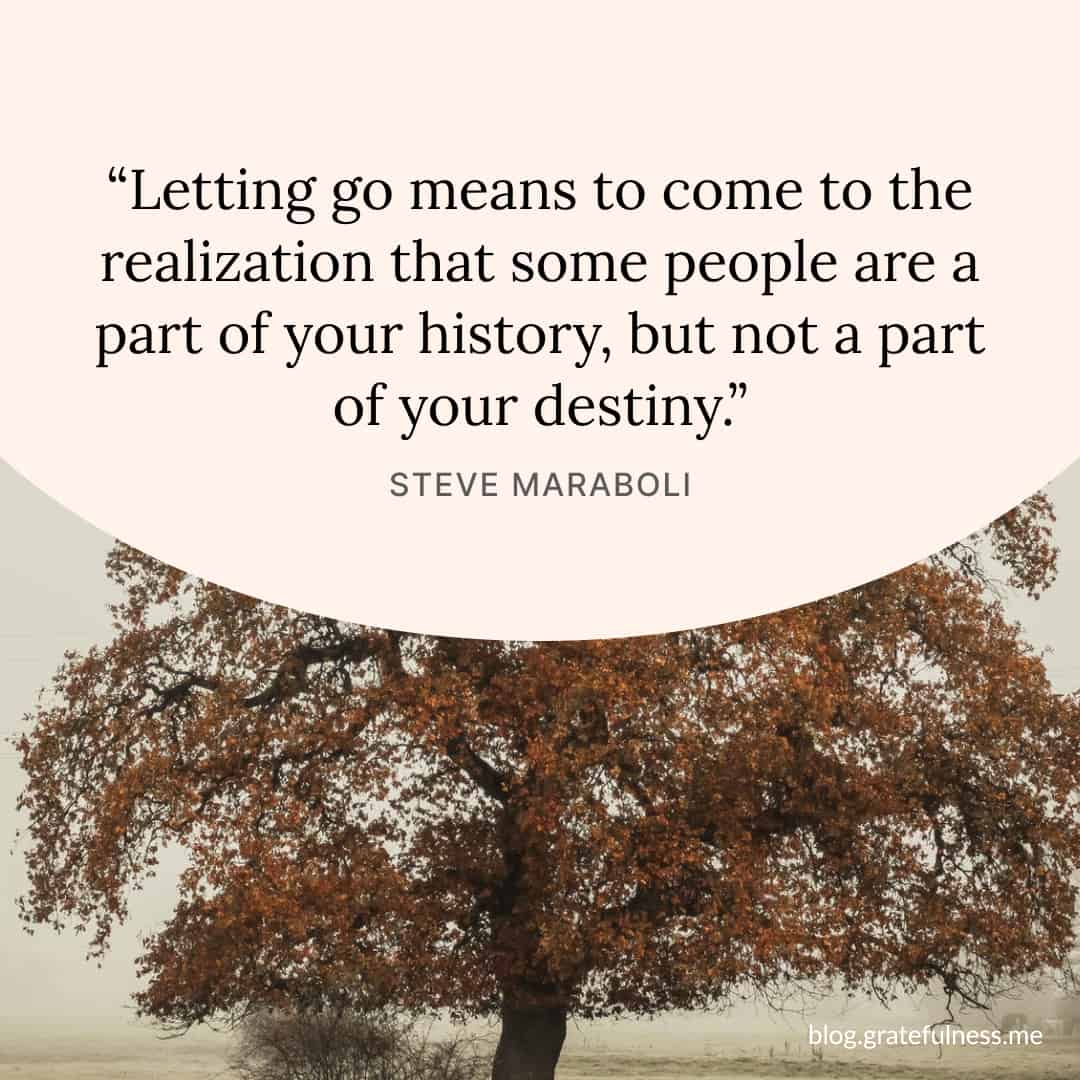 Image with moving on and letting go quote by Steve Maraboli