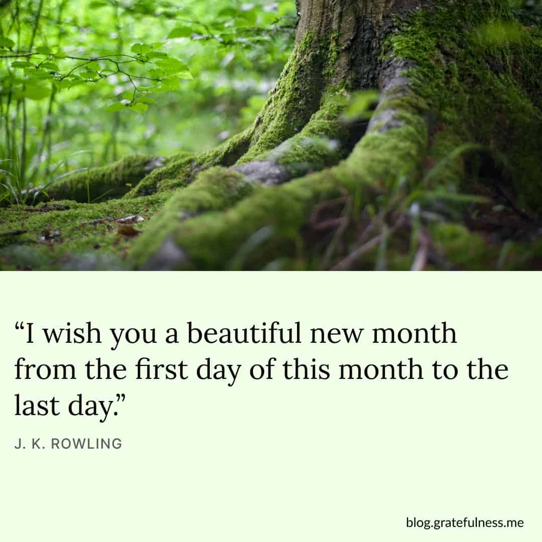 16+ Last Day Of Month Quotes