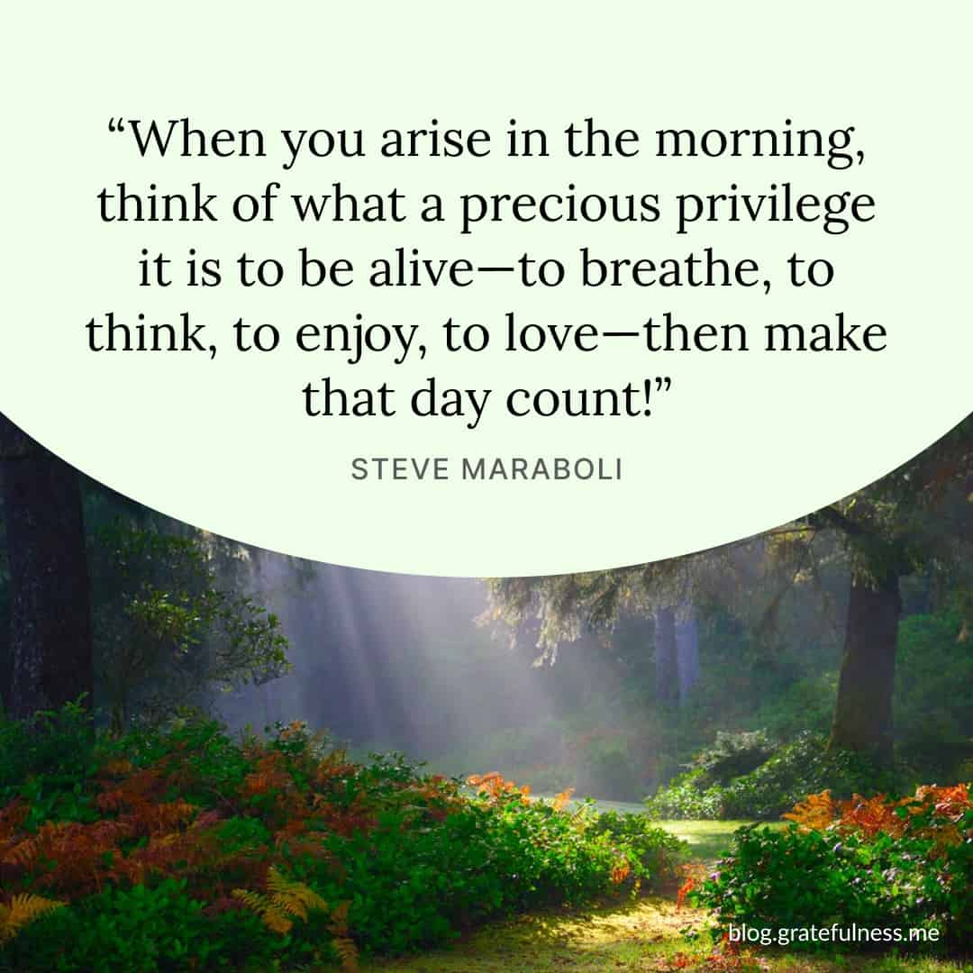 Image with positive morning quote by Steve Maraboli