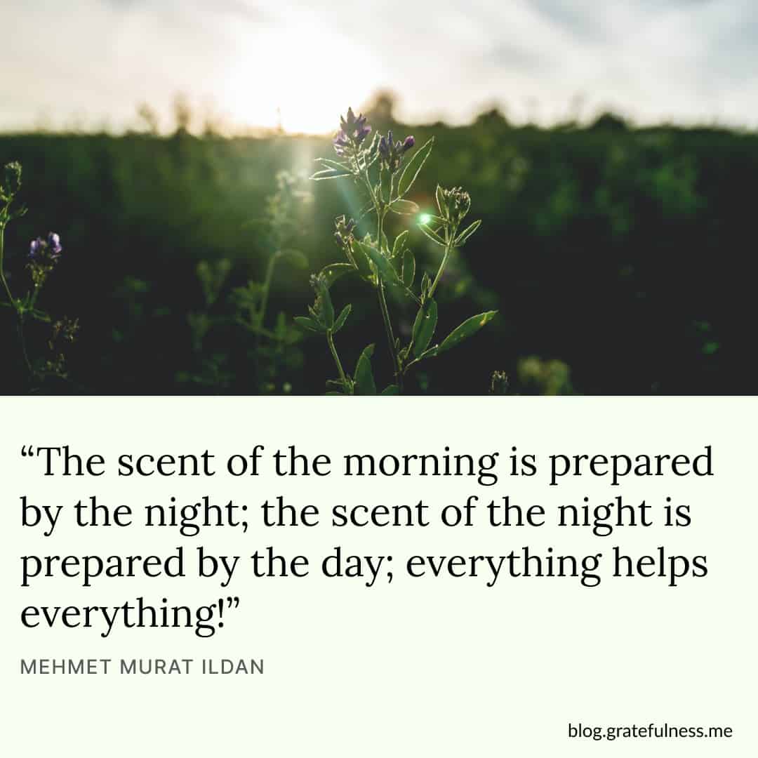 Image with positive morning quote by Mehmet Murat ildan