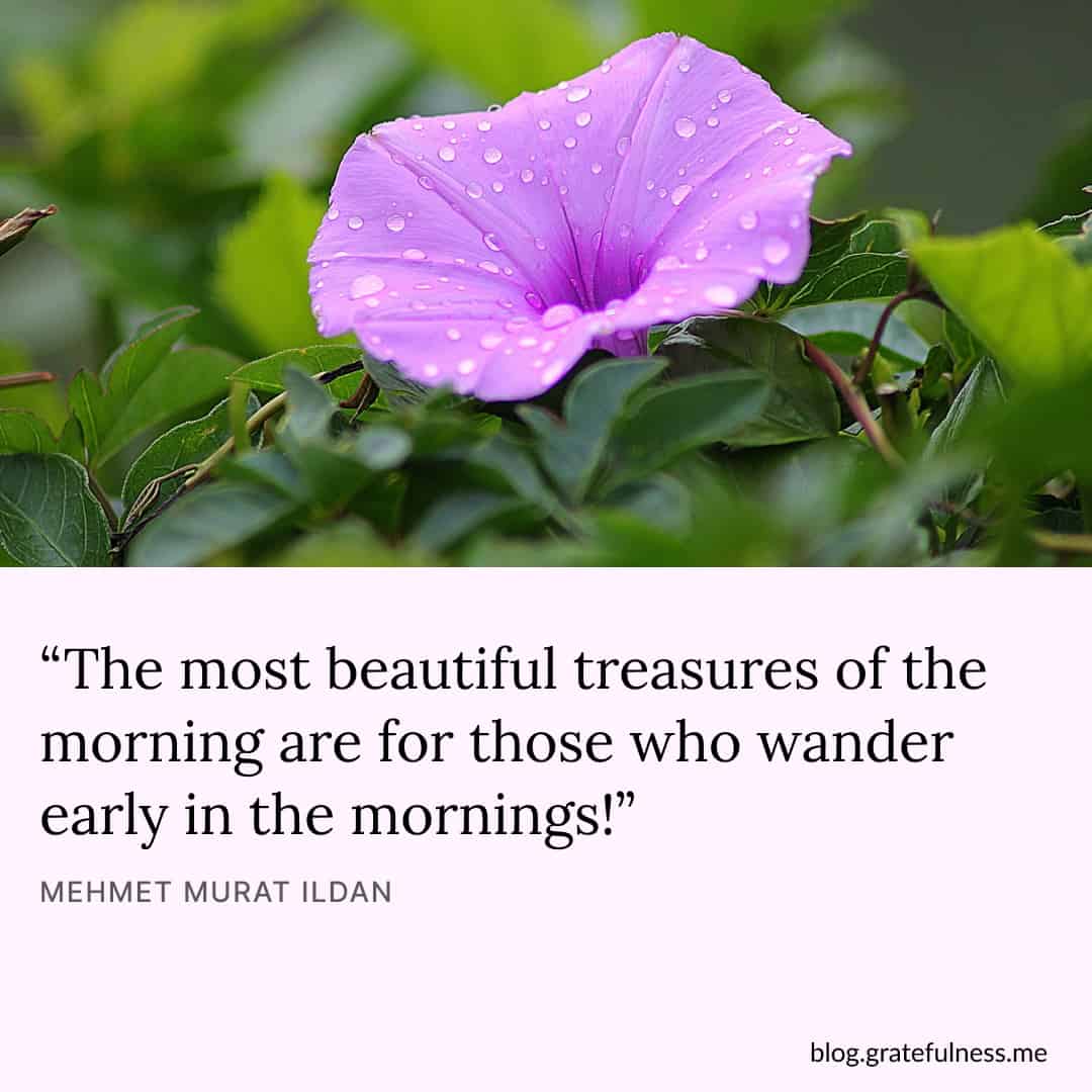 Image with positive morning quote by Mehmet Murat ildan