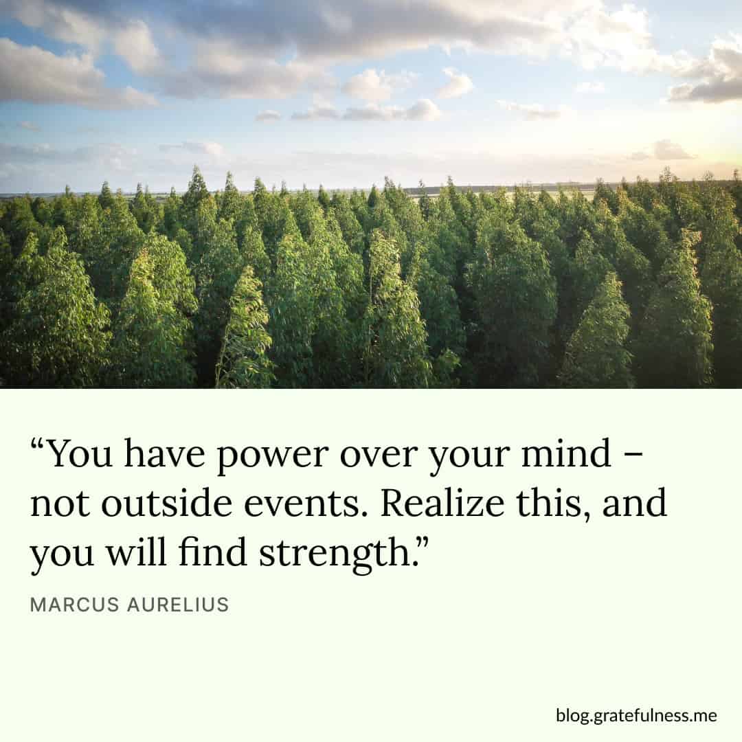 46 Inspirational Quotes About Strength And Resilience