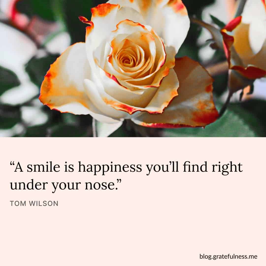 Image with self care quote by Tom Wilson