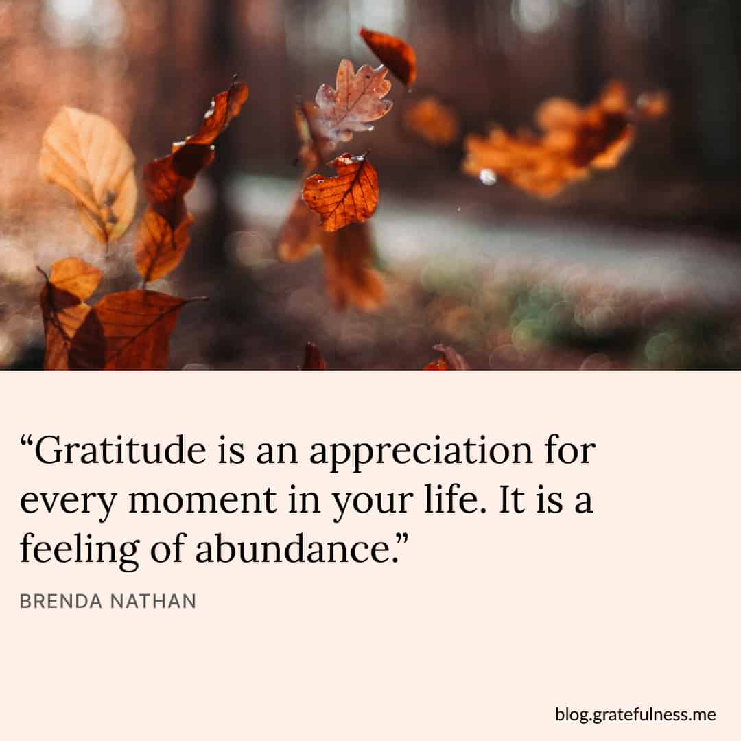 Image with a thankful quote by Brenda Nathan