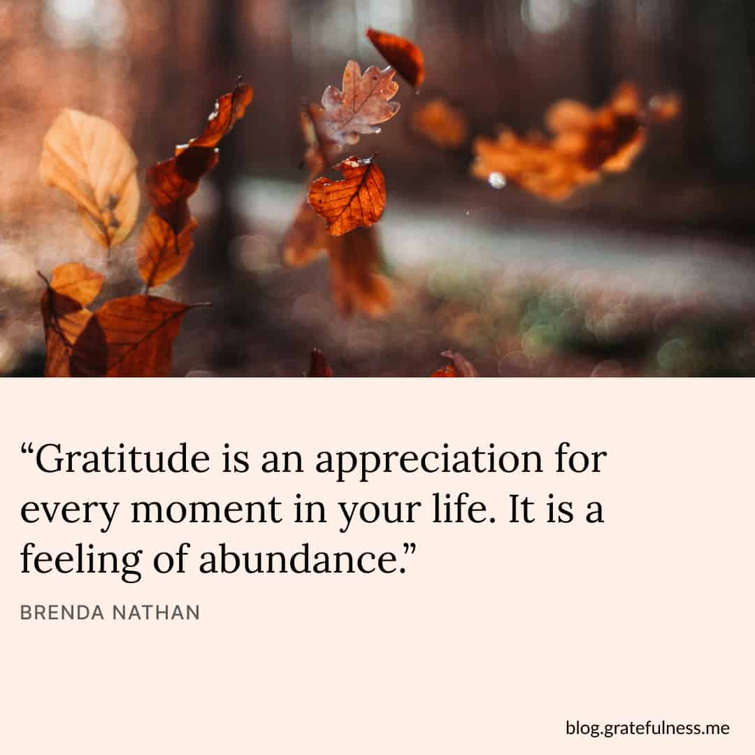 Gratitude Quotes to Bring Meaning to the Thanksgiving Season