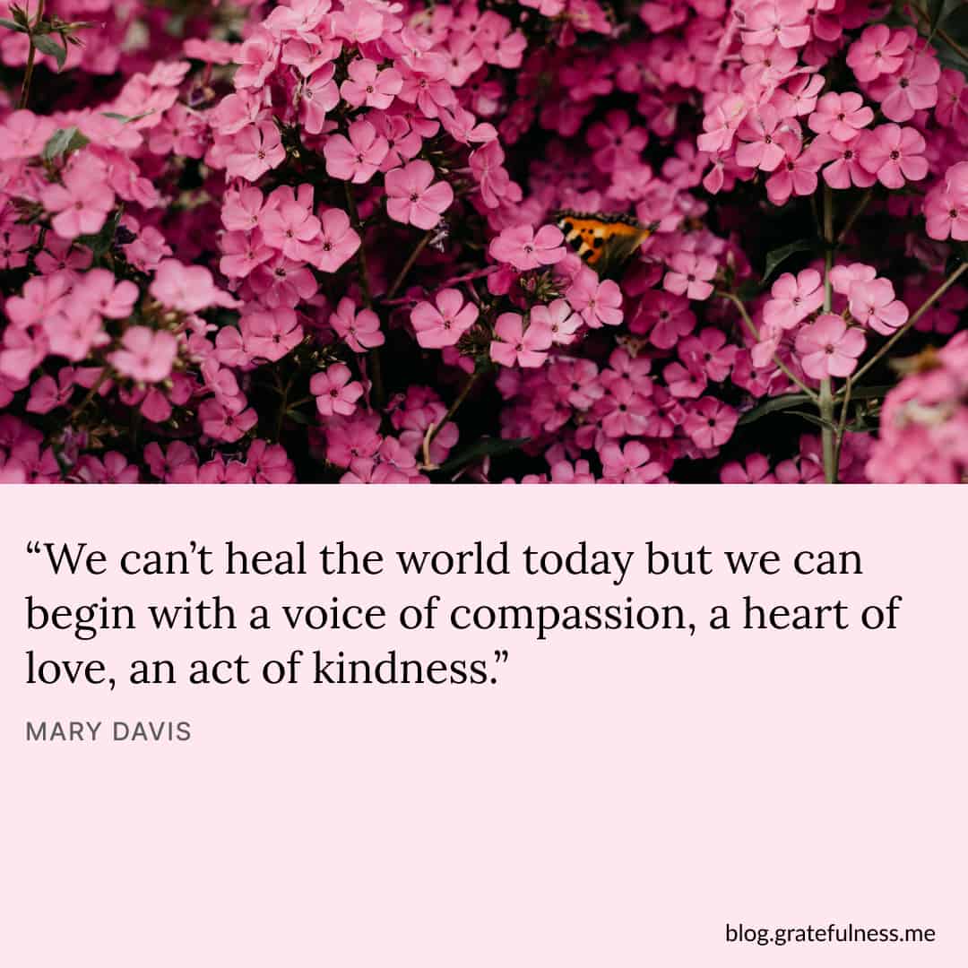 Image with compassion quote by Mary Davis