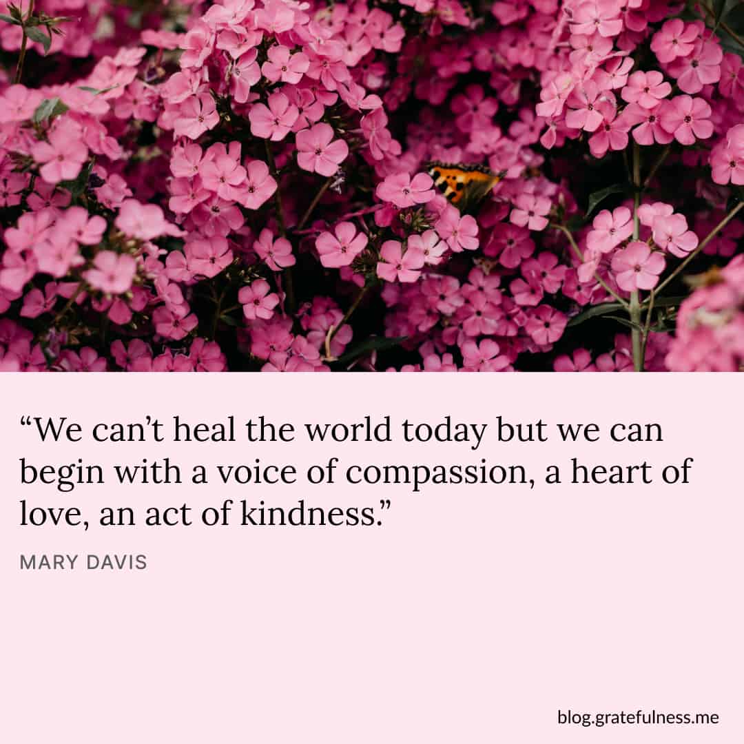 60 Compassion Quotes To Make This World A Kinder Place