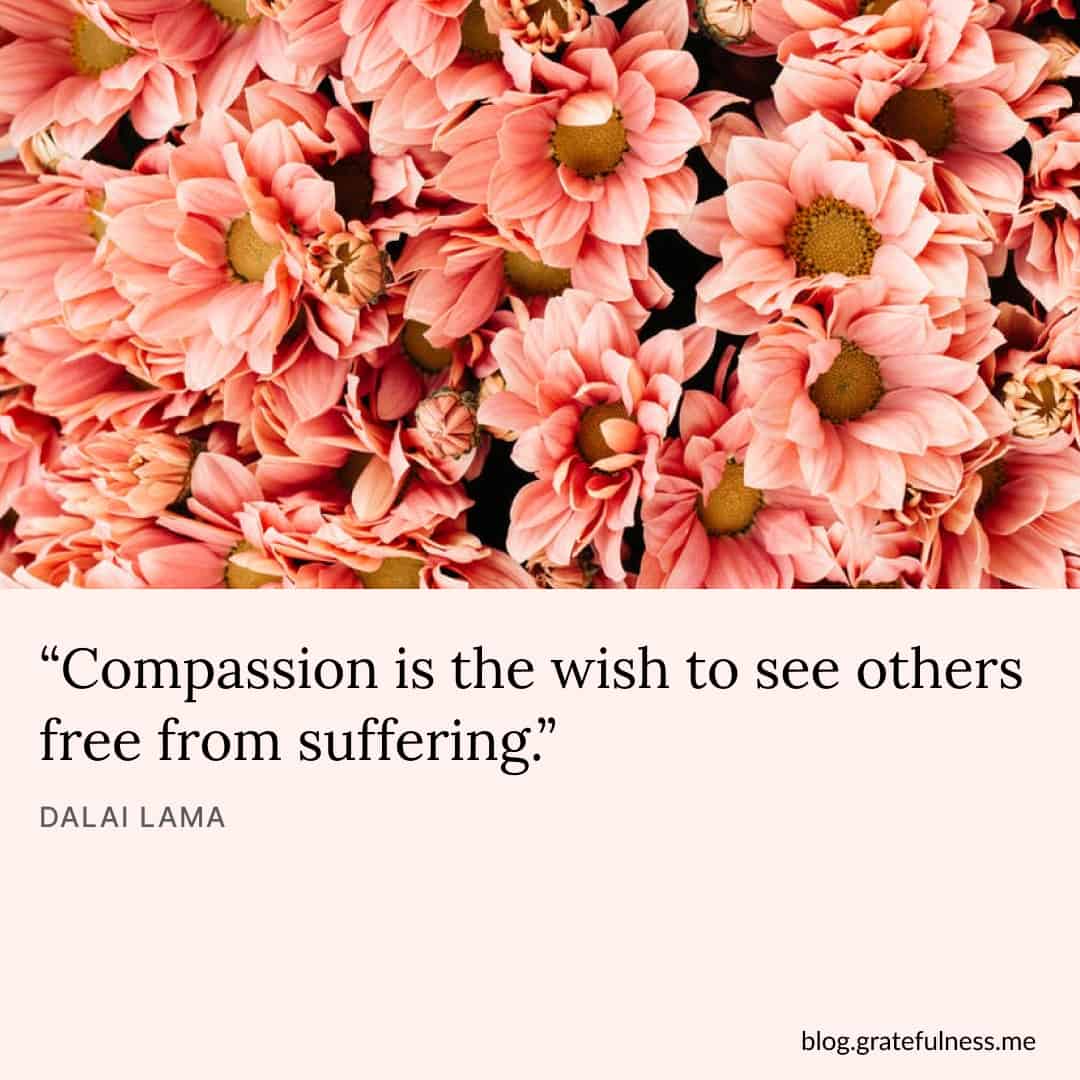 Image with compassion quote by Dalai Lama