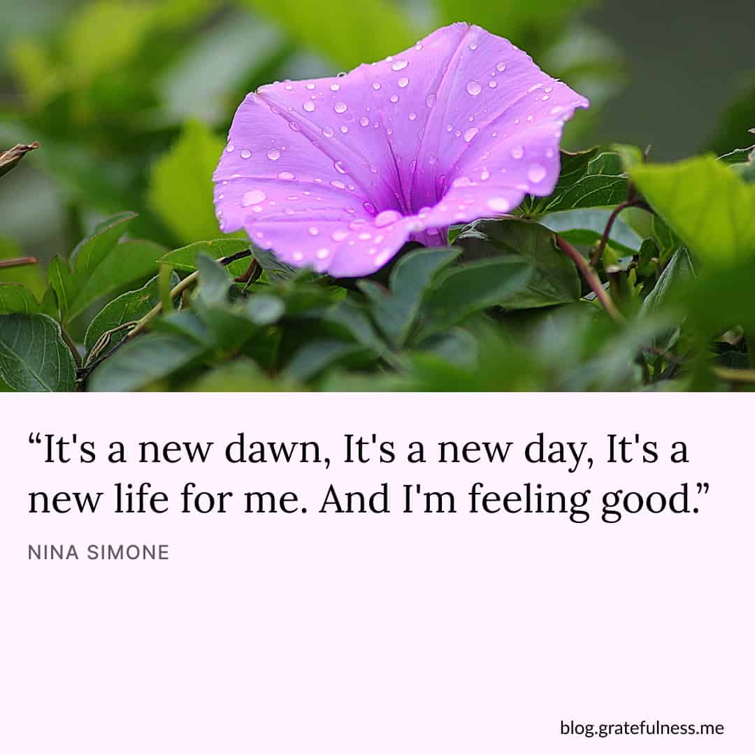 Image with new day quote by Nina Simone