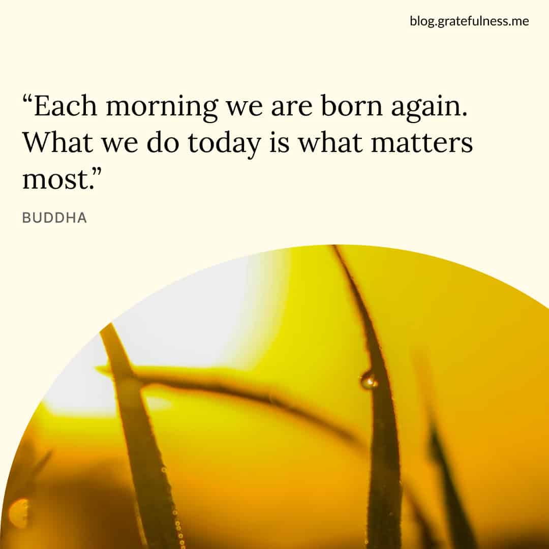 Image with new day quote by Buddha