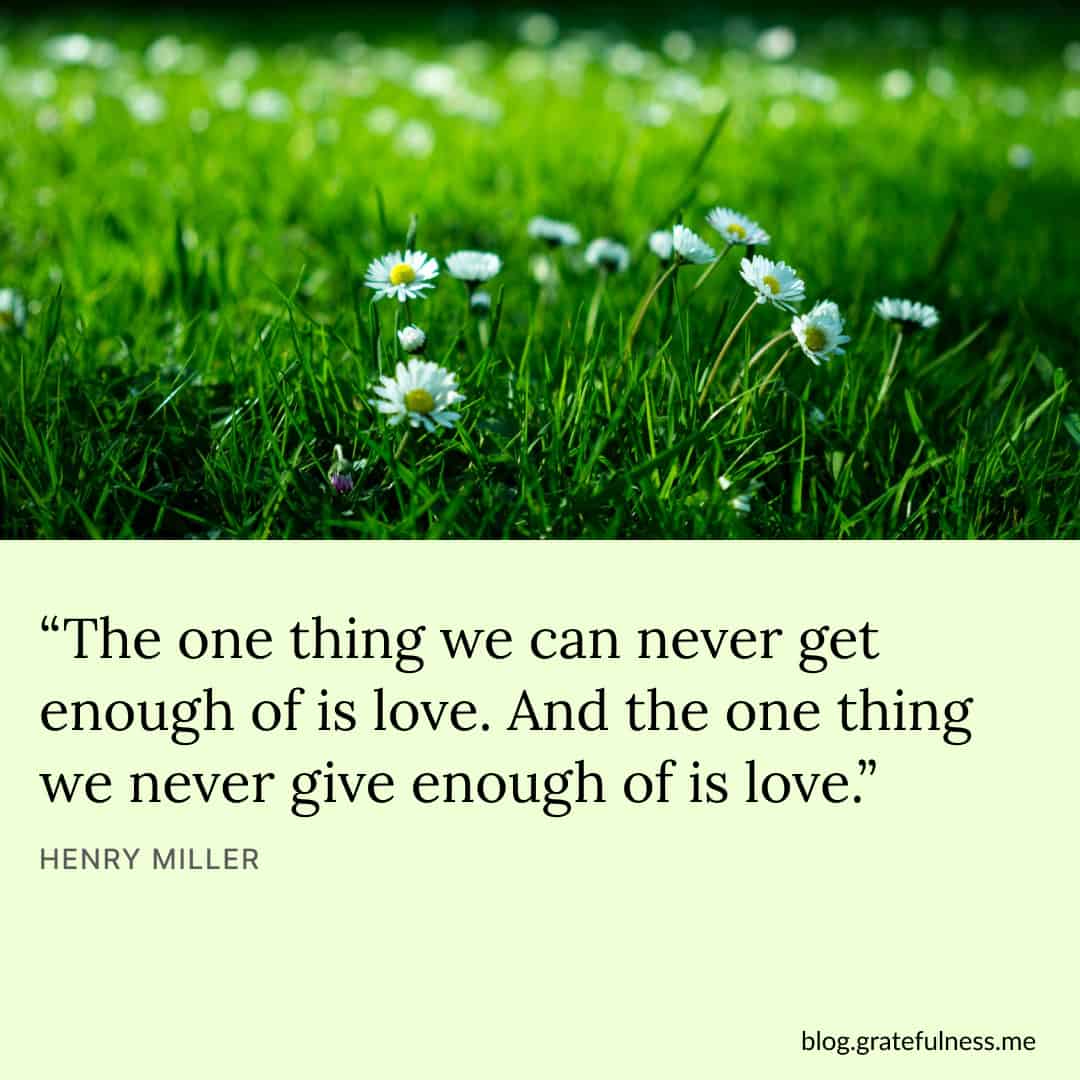 True love Finding true love, True love, Love quotes
