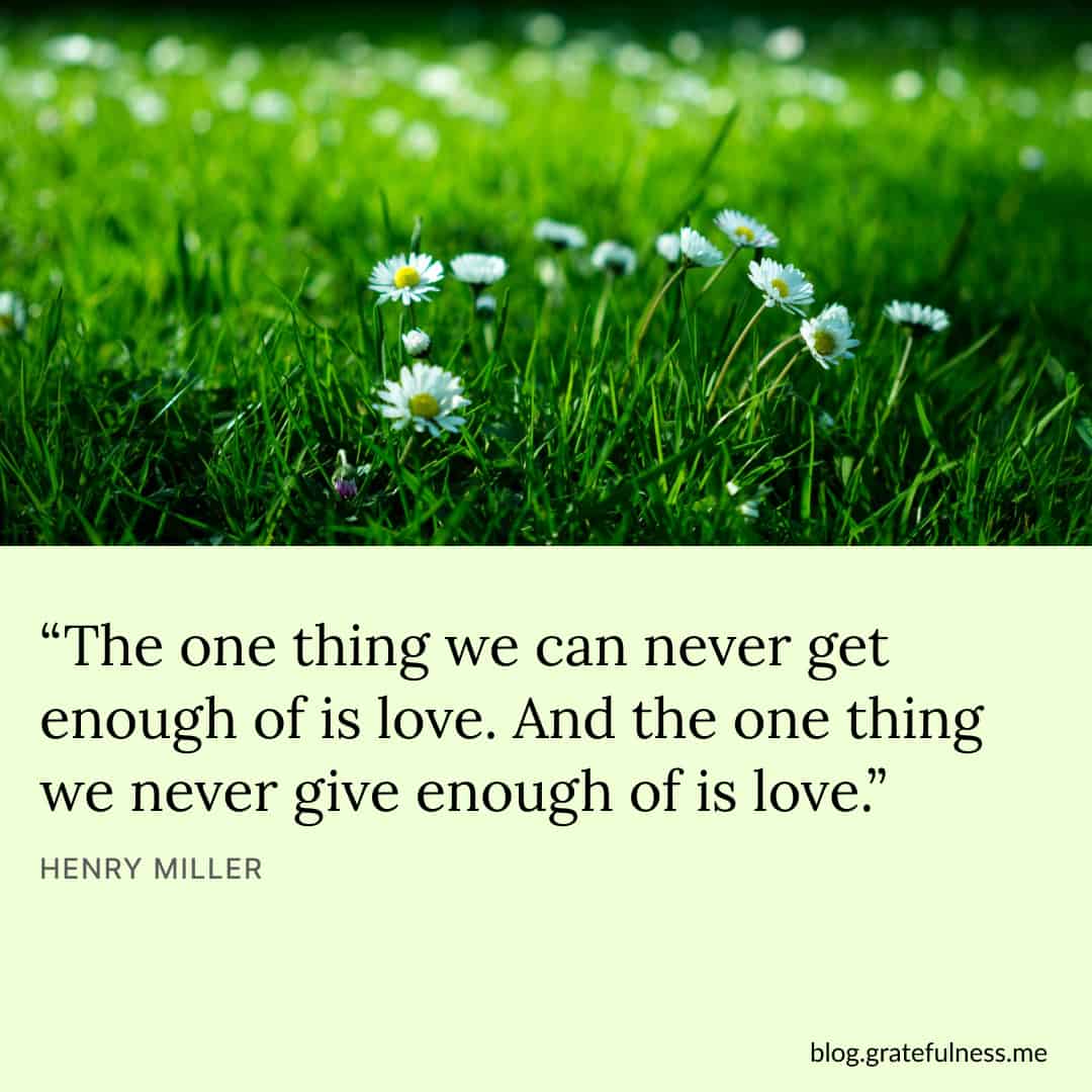 True love quotes and sayings 