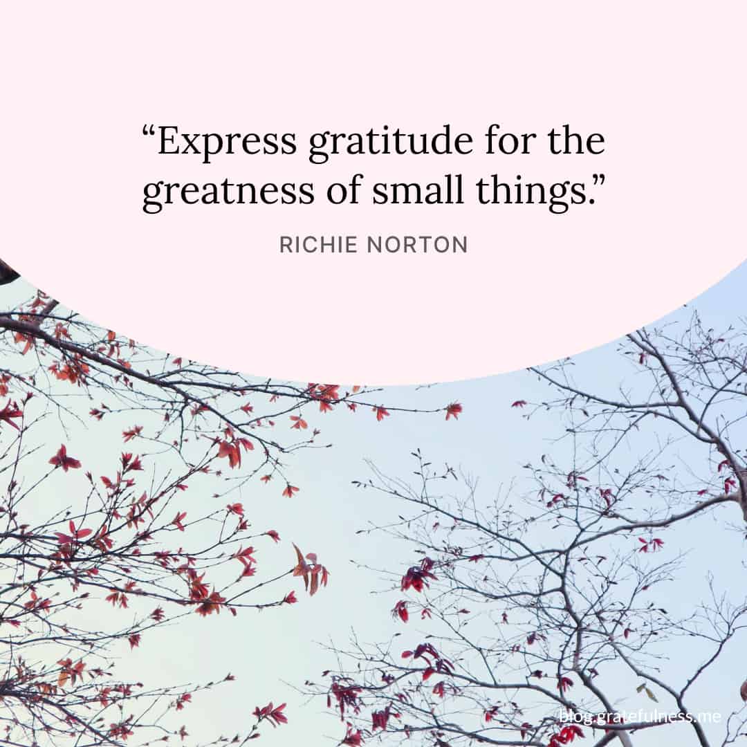 Image with Thankful Thursday quote by Richie Norton