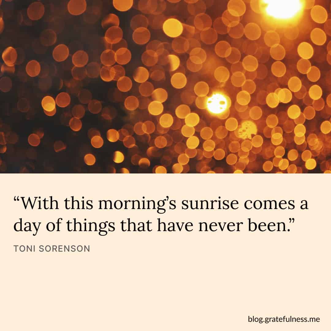 Image with new year quote by Toni Sorenson