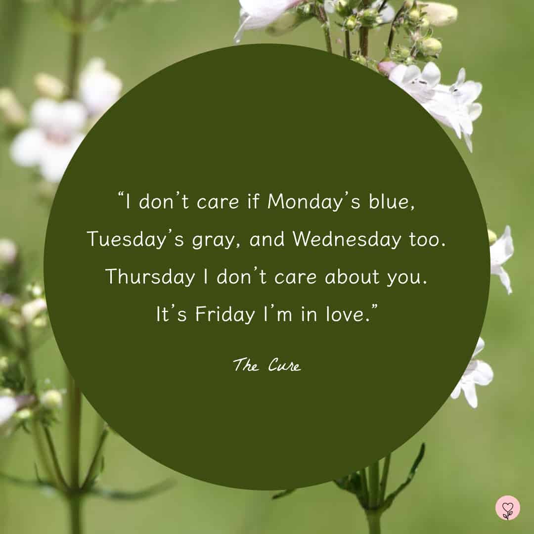 Image with Friday quote by The Cure