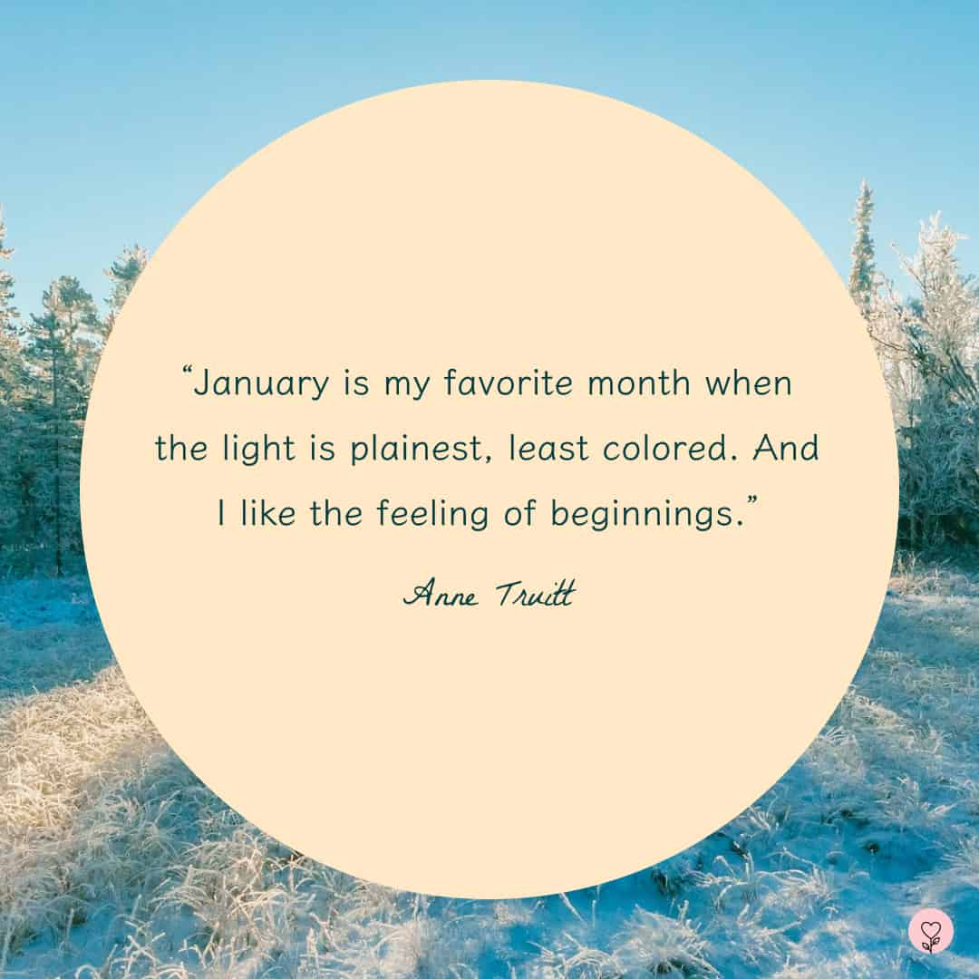 Image with January quote by Anne Truitt