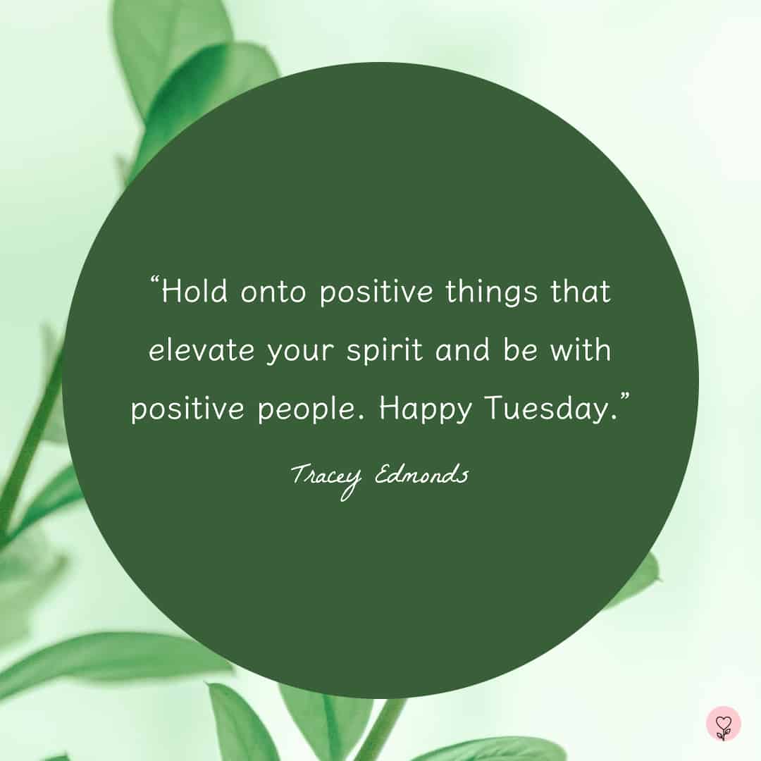 50 Tuesday Quotes to Revitalize Your Energy