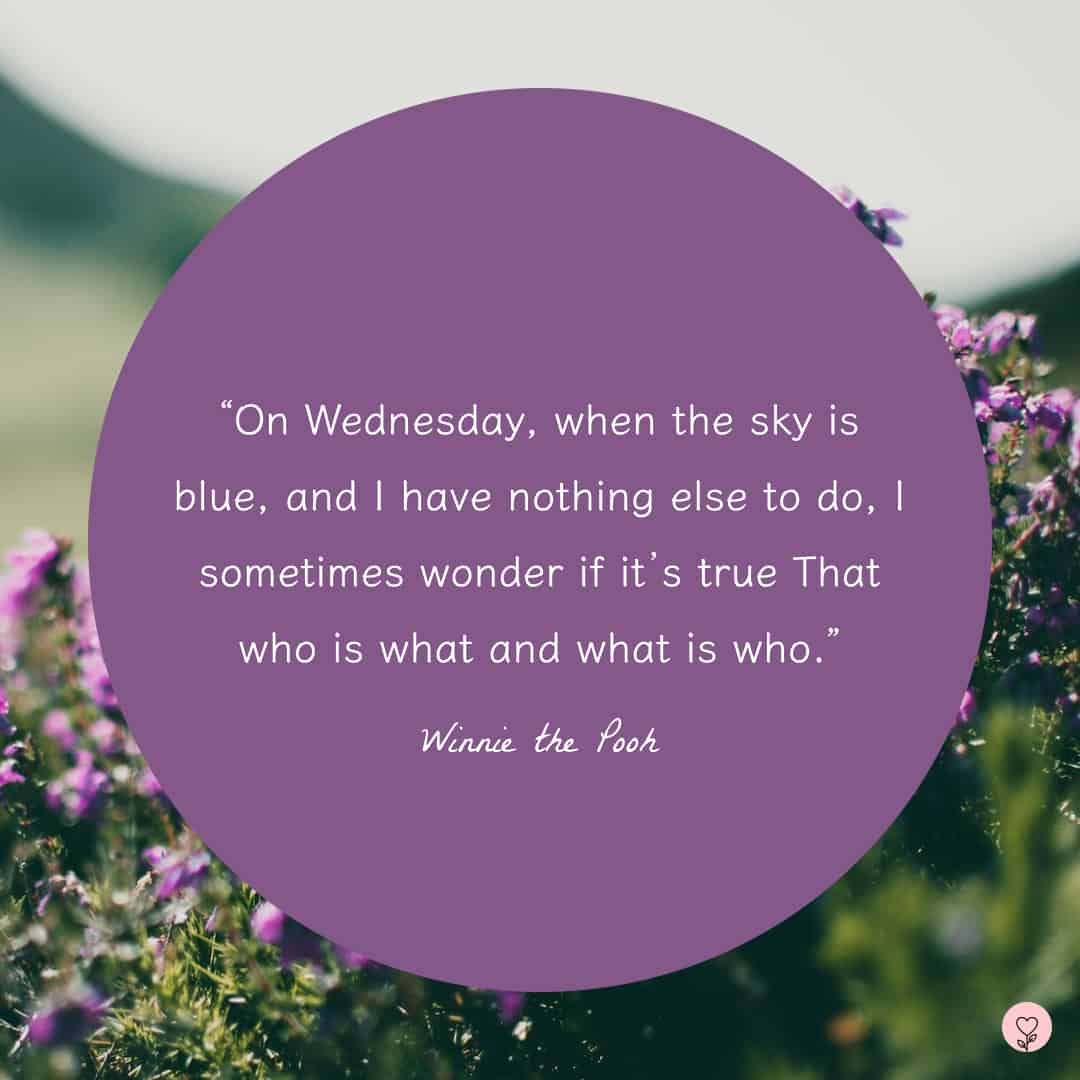 Hump Day Blues? 50+ Wednesday Quotes to Get You Through