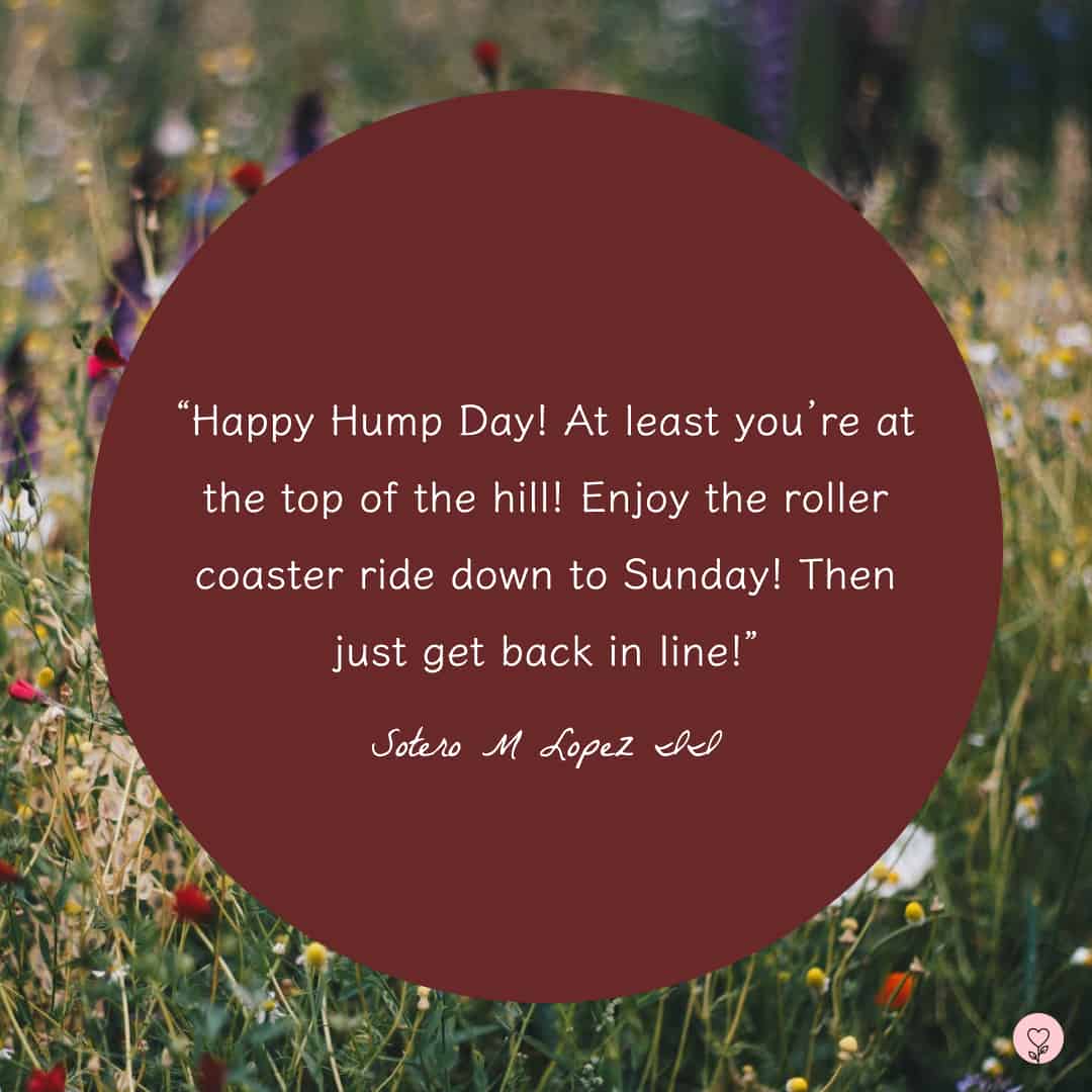 hump-day-blues-50-wednesday-quotes-to-get-you-through