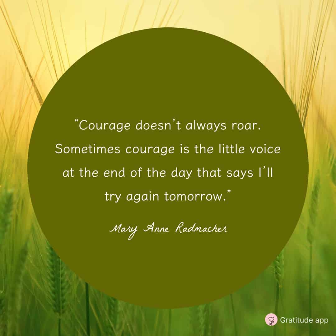 Image with keep going quote by Mary Anne Radmacher