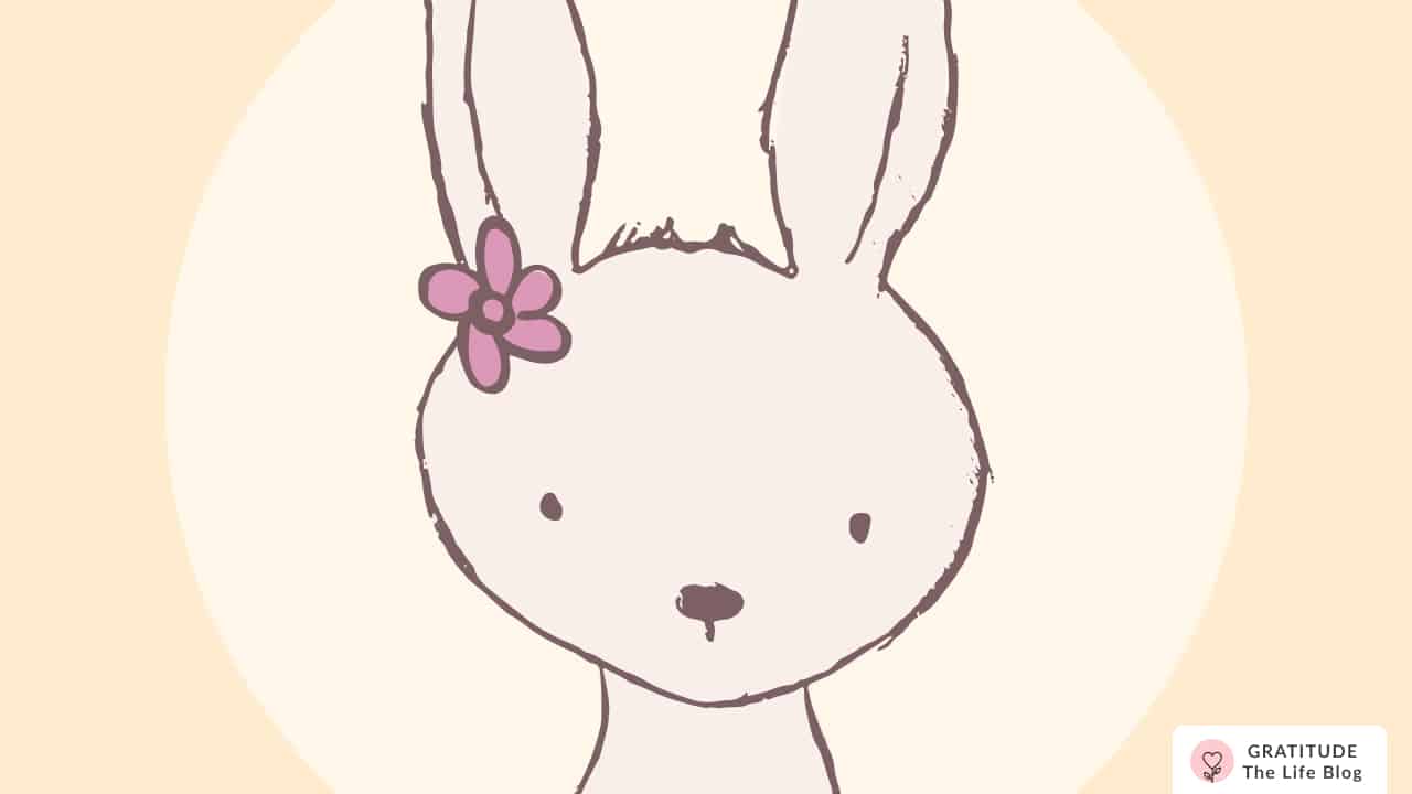 Image with a bunny's face